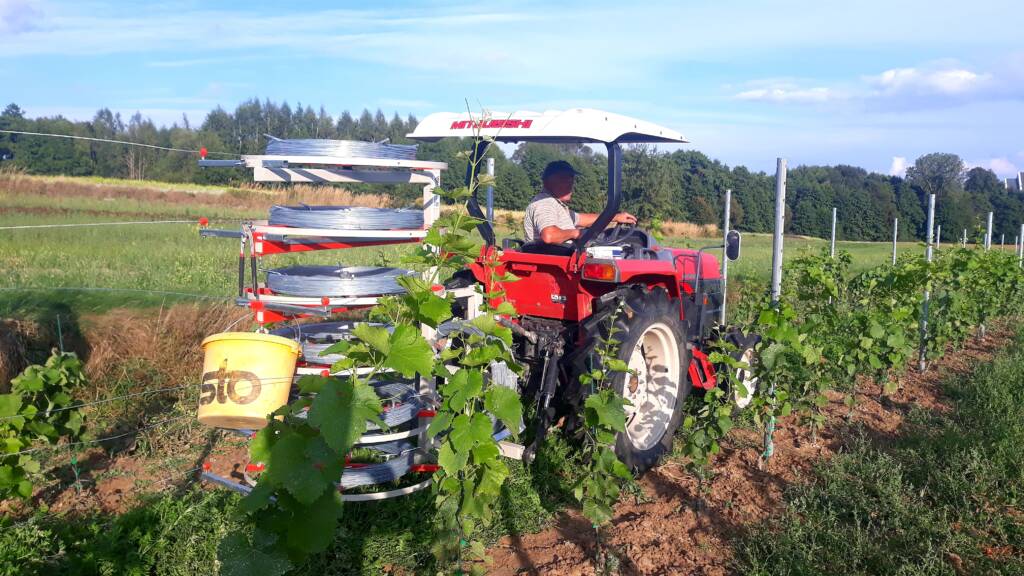Montaż rusztowań i drutów w winnicy