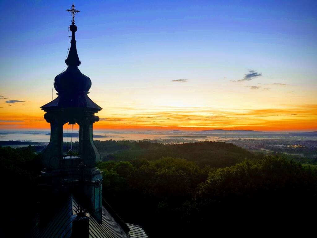 Winnica Kościeleckich - Karczówka