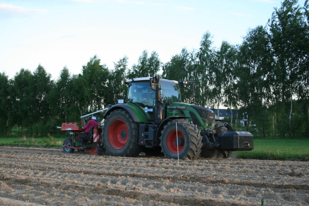 Winnica Kościeleckich - sadzenie maszynowe