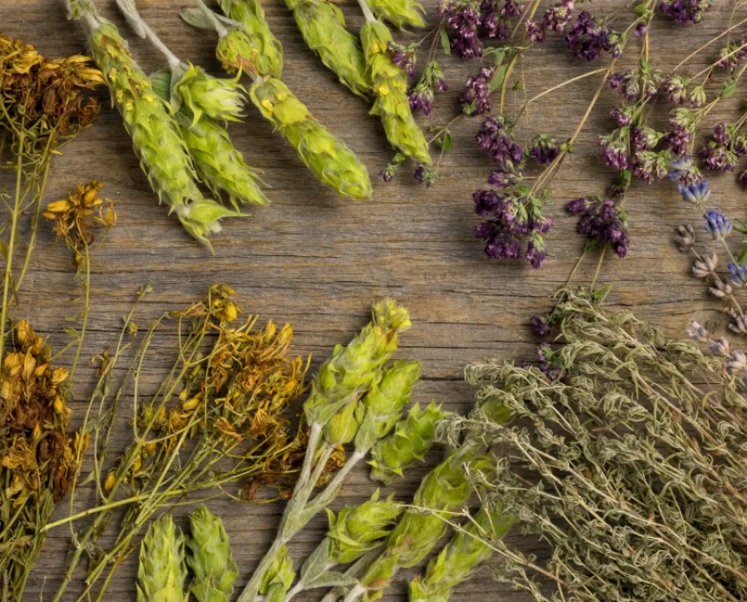 Zrzut ekranu 2025-01-08 173416